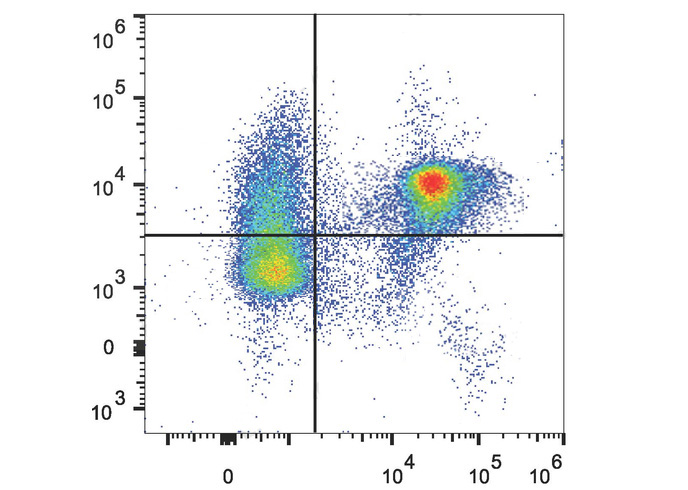FITC Anti-Mouse CD226 Antibody