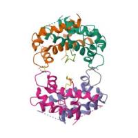 重组人AHNAK蛋白 | Recombinant Human AHNAK, 1-112aa