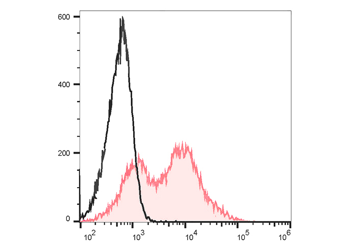 PE-Cy7 Anti-Mouse CD90 Antibod