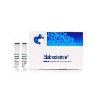 小鼠初始CD4+T细胞阴性分选试剂盒