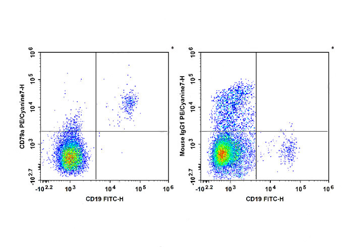 FITC Anti-Human CD196 Antibody