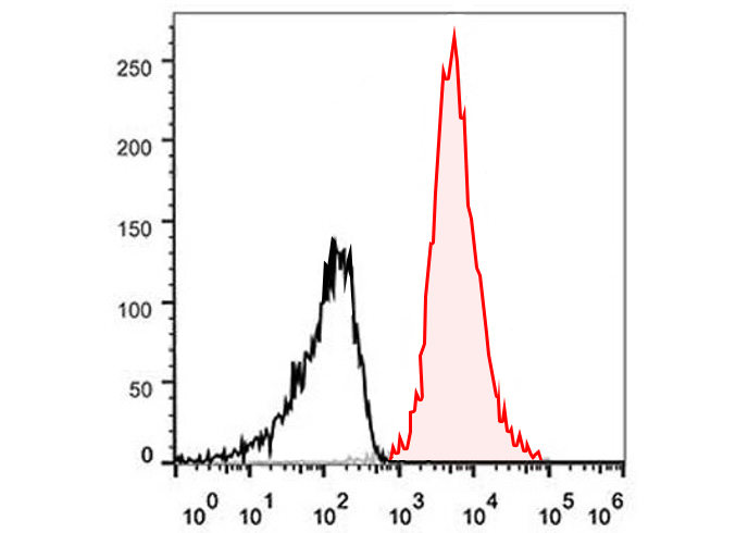 PE-Cy7 Anti-Mouse IL-17A Antib