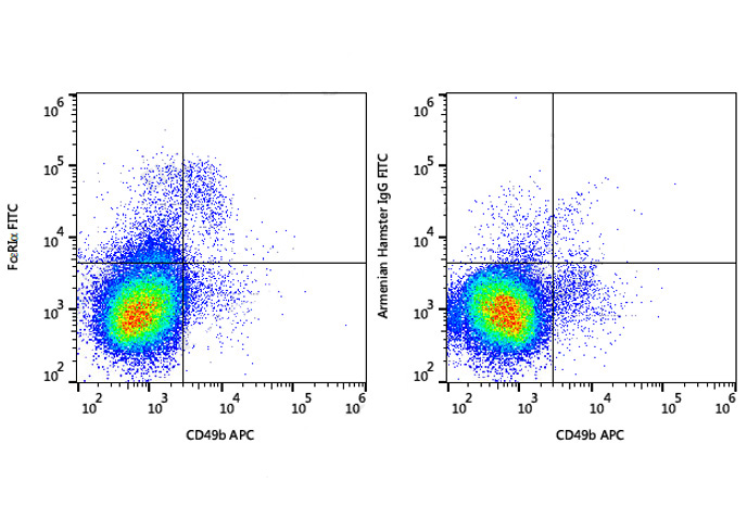 PE Anti-Rat CD4 (OX-38)