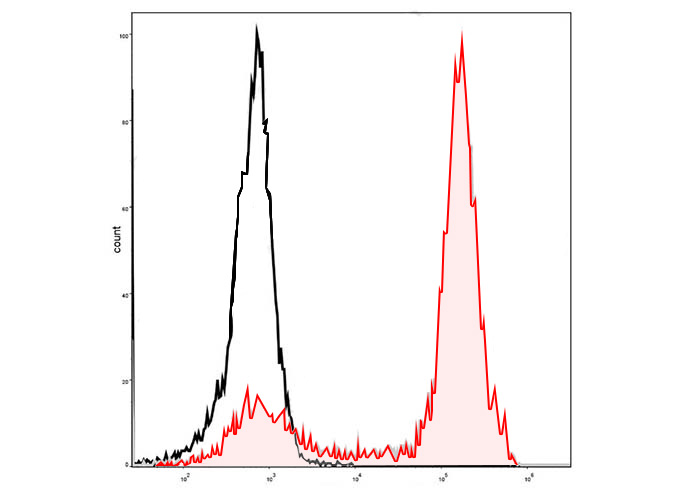 Sunncell Violet 610 Mouse IgG2