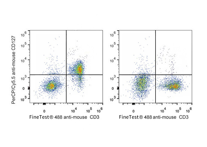 PE Anti-Mouse CD8A (53-6.7)