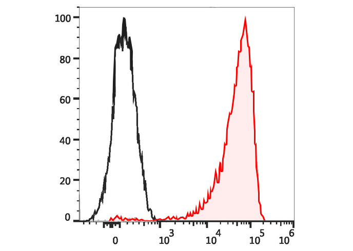 PE Anti-Mouse IL-17A Antibody(