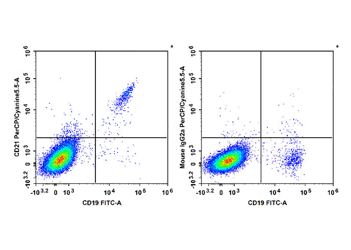 PE Anti-Mouse CD38(NIMR5)