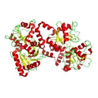天然人Lactoferrin蛋白 | Human Lactoferrin (LTF), Native