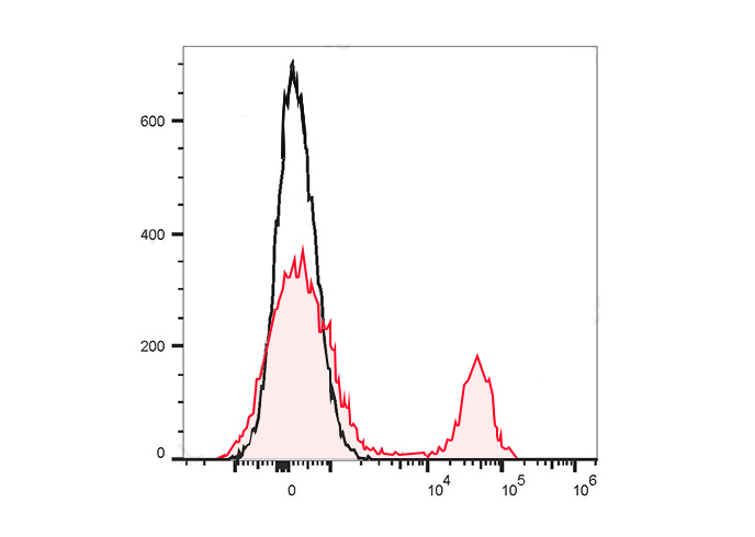 APC Anti-Mouse CD90.2/Thy1.2 A