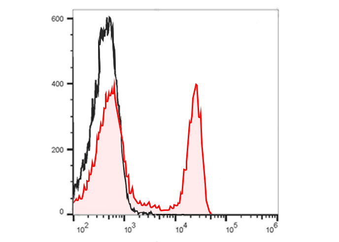 PE-Cy7 Anti-Mouse CD3ε Antibod
