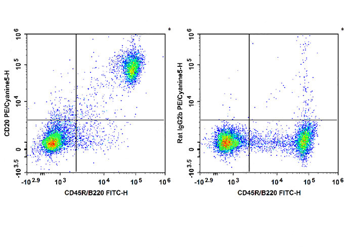 PE Anti-Human CD27 (O323)