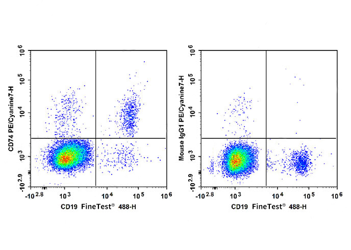 Sunncell 488 Mouse IgG2b, κ Is