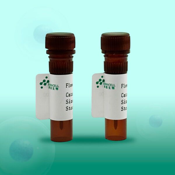 PE Anti-Human CD33 Antibody(P67.6)