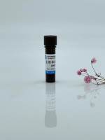 支原体高效清除剂/支原体清除剂/黑胶虫清除剂