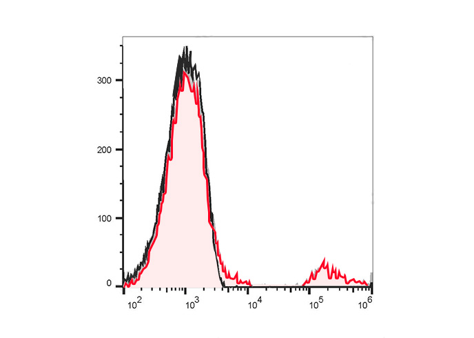 Sunncell Violet 610 Anti-Mouse