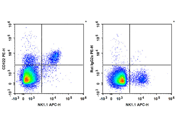 PE Anti-Human CD146 Antibody(A