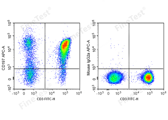 APC Anti-Human CD197 Antibody(