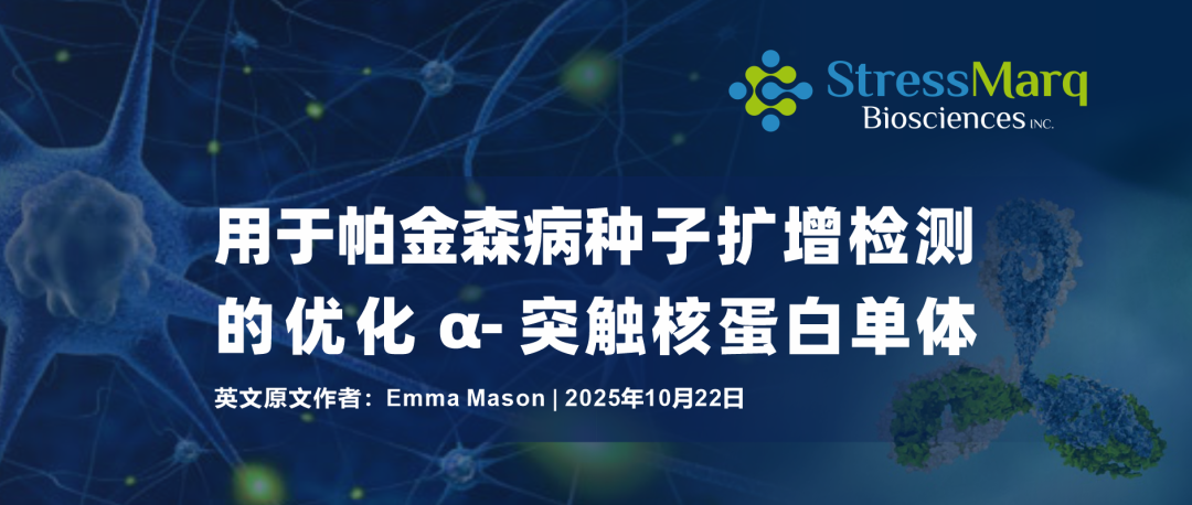 用于帕金森病种子扩增检测的优化α-突触核蛋白单体
