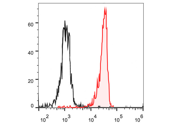 PE Anti-Mouse F4/80 Antibody(C