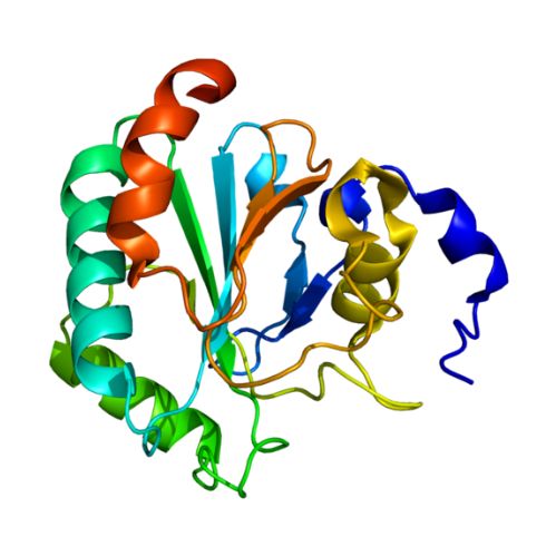 重组大鼠GPX4蛋白 | Recombinant Rat Glutathione Peroxidase 4 (GPX4), 1-253aa, His-tag