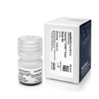 PowerUp™ SYBR™ Green 预混液