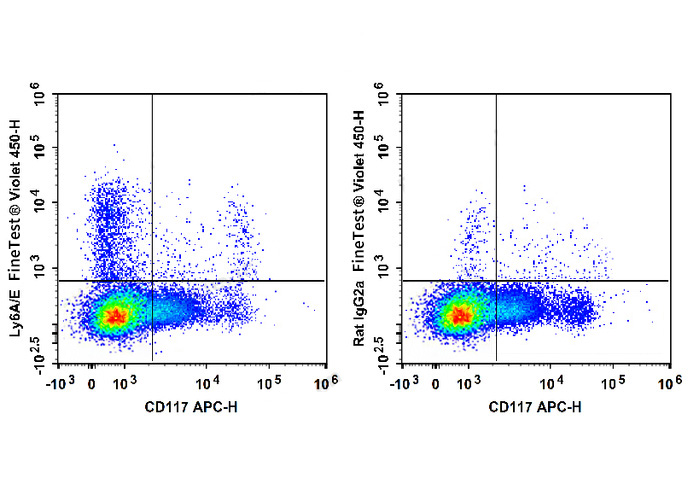 Sunncell Violet 500 Syrian Ham