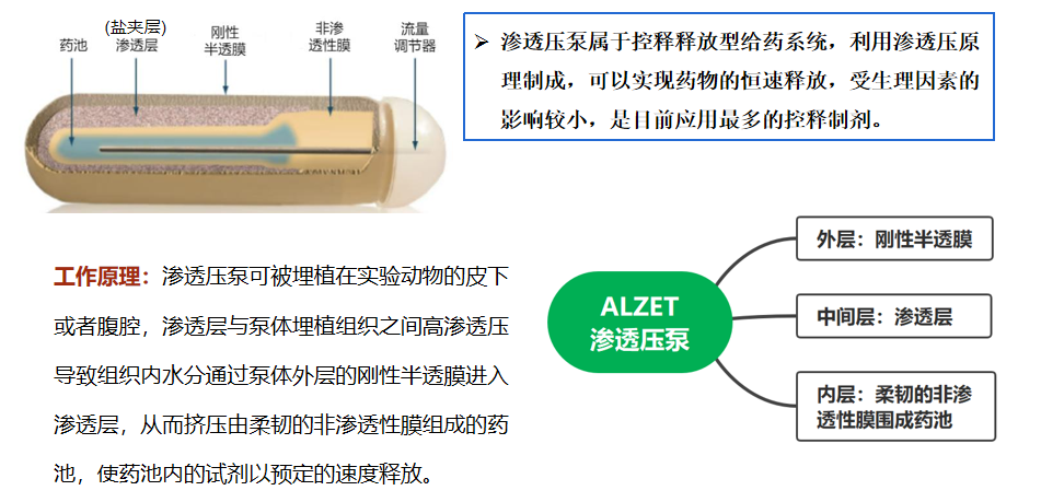 小鼠皮下渗透微泵操作步骤