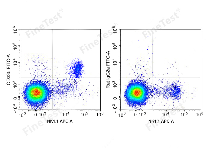 PE-Cy5 Anti-Mouse CD19 Antibod