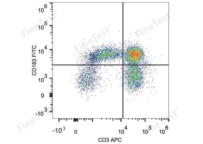 Sunncell 488 Anti-Mouse CD40 A