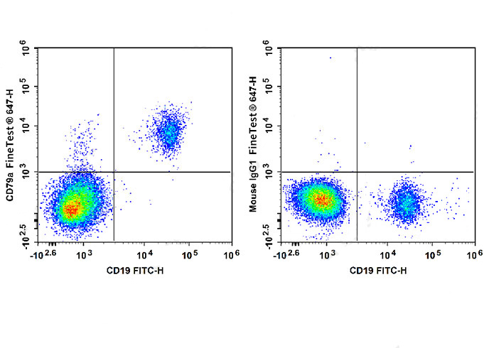 FITC Anti-Mouse MHCII Antibody
