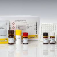 RIDASCREEN®FAST Aflatoxin SC 黄曲霉.毒素SC检测试剂盒