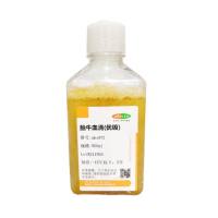 胎牛血清（优级）