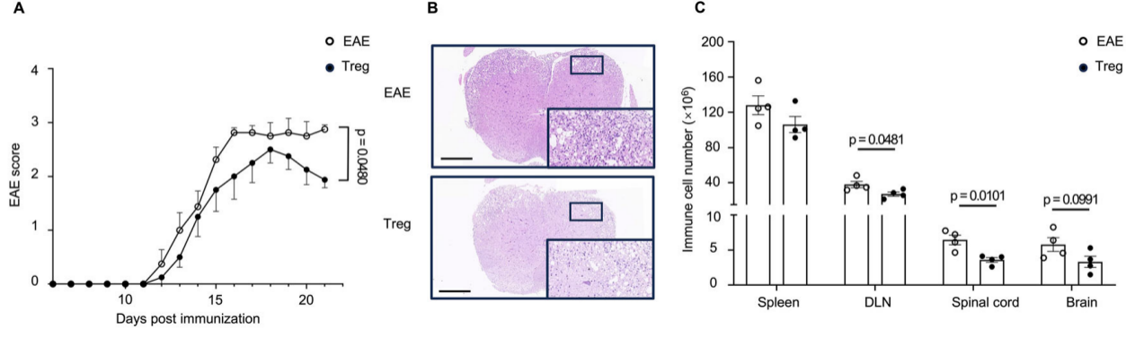 疾病研究“金标准”:一文囊括经典动物/细胞造模解决方案