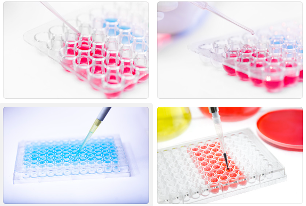 如何判断ELISA试剂盒的回收率是否合格？