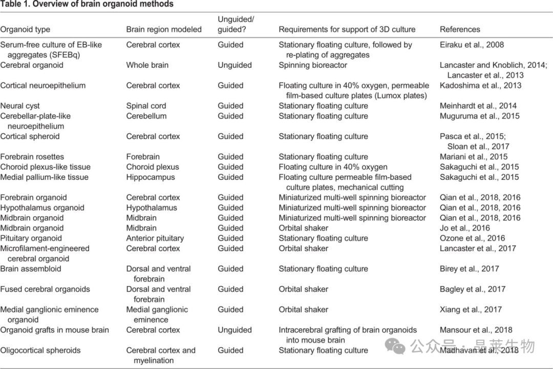 国内首家非IPSC来源脑类器官上新及脑类器官应用