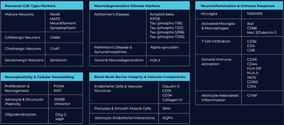 PCF固定Panel限时立减2万起-神经免疫