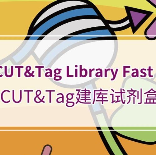 组蛋白修饰CUT&Tag建库试剂盒：Epi™ HisMod CUT&Tag Library Fast Kit