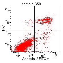 细胞功能检测|流式细胞术检测细胞凋亡
