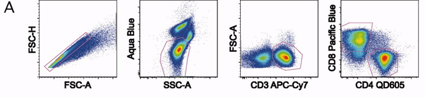 OMIP-005：11色分析抗原反应性T细胞的定性和表型