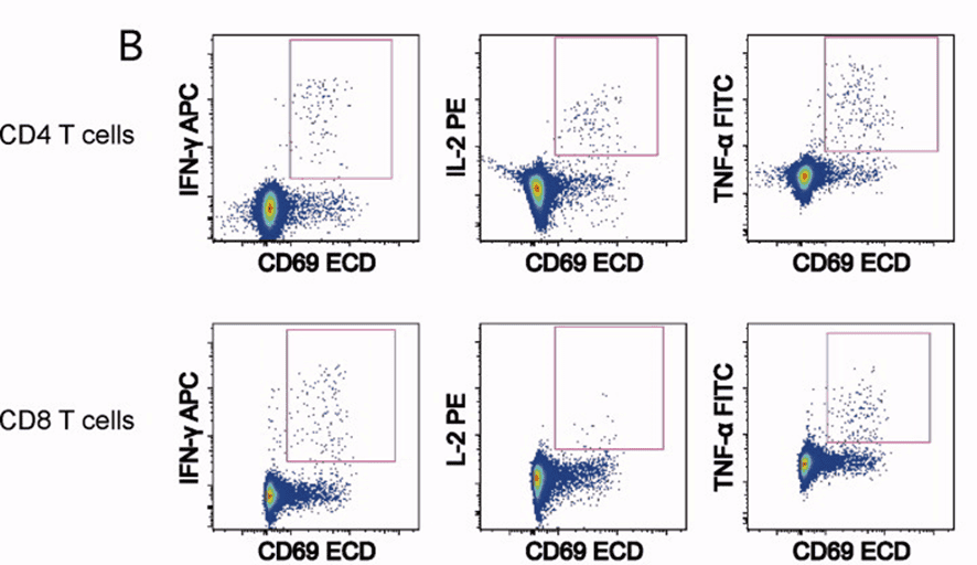 OMIP-005：11色分析抗原反应性T细胞的定性和表型