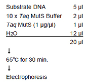 1214525797533115.png 1214525797533115.png