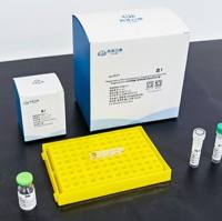 微量 / 通用型蛋白质组学试剂盒 MagicOmics MMB