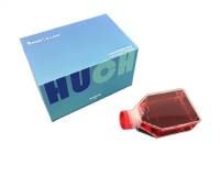 BV2(小鼠小胶质细胞)(STR鉴定正确)