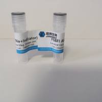 钙黄绿素红(红色)