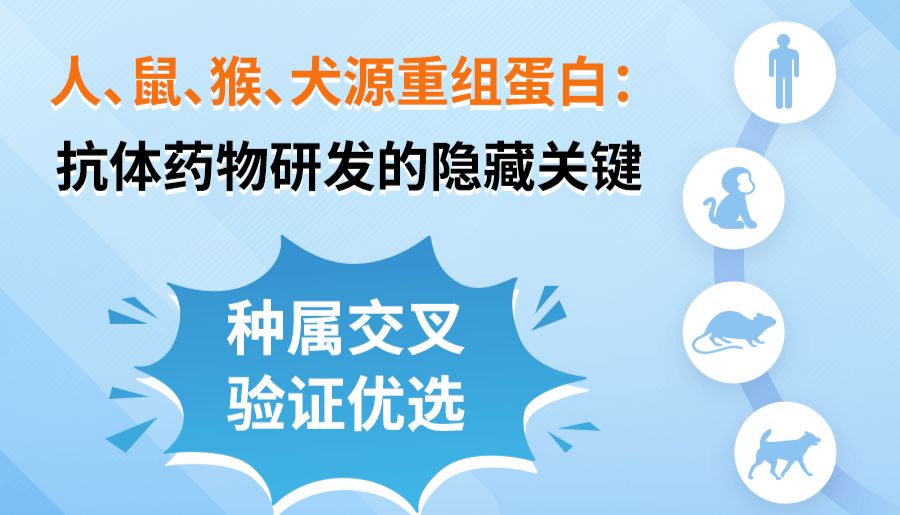 人、鼠、猴、犬源重组蛋白：抗体药物研发的隐藏关键