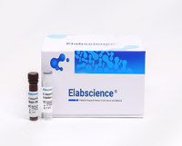EasySort™ Mouse CD3+T Cell Isolation Kit