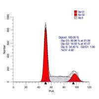 流式细胞术检测细胞周期 | 细胞功能检测