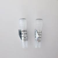 有丝分裂检验点蛋白BubR1抗体