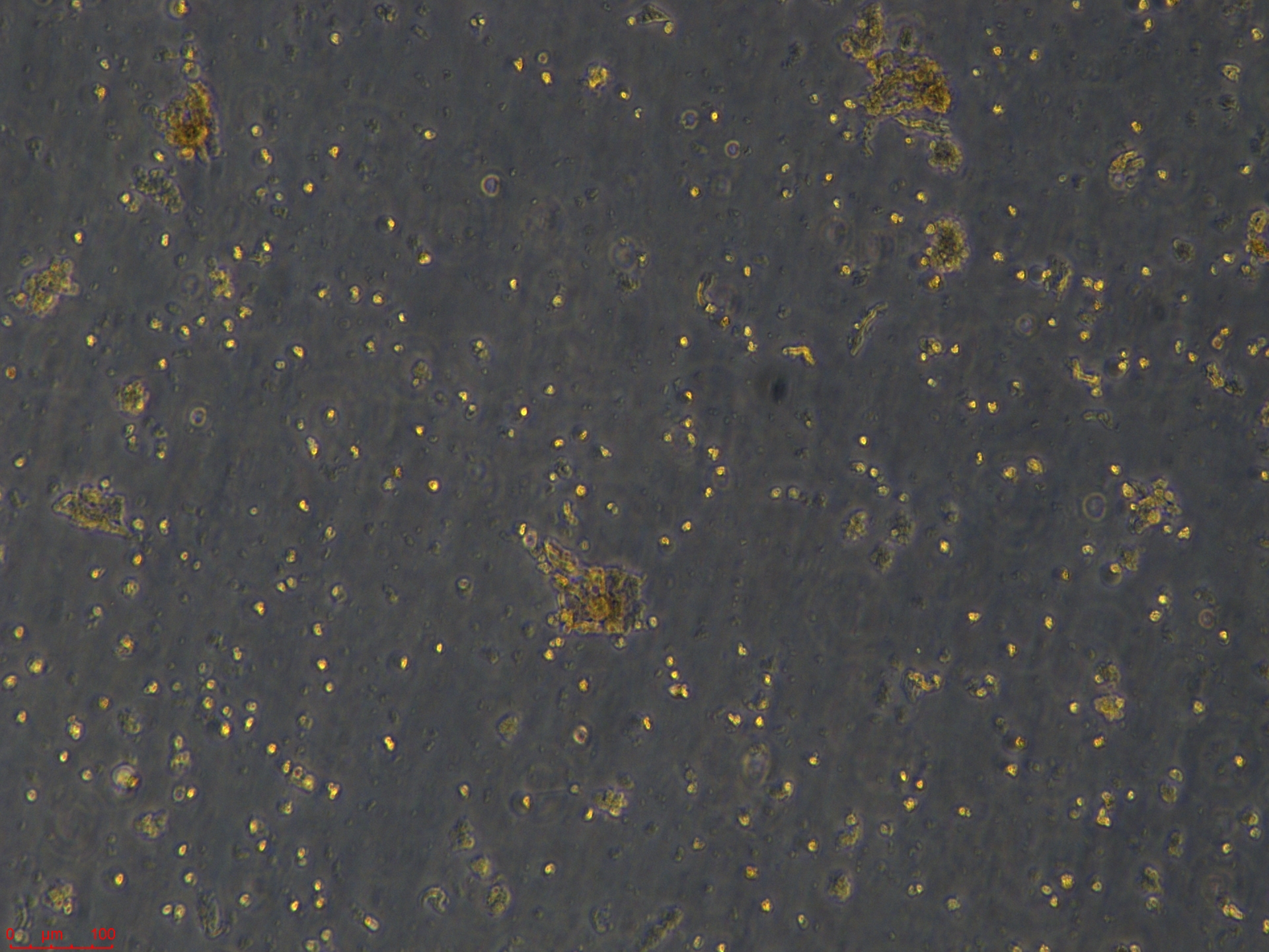 Project_COC1_ch00 (2).jpg