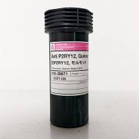 抗P2RY12，豚鼠 Anti P2RY12, Guinea Pig